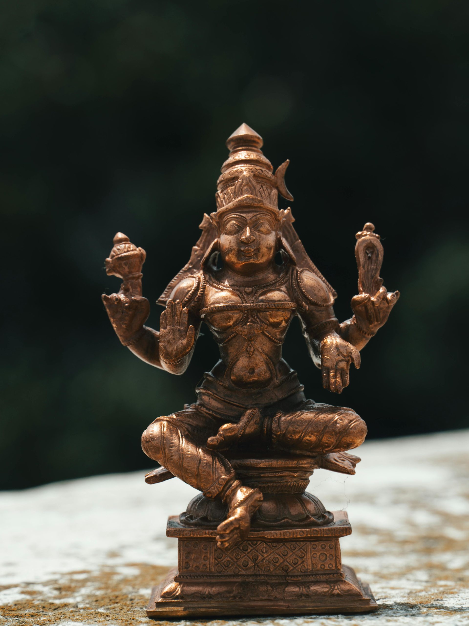 Vedic Astrology in 2026: Lakshmi Yoga and Your Zodiac Wealth Wisdom.